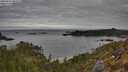 ./images/calvert/foggy-cove/20250501/foggy-cove20250501_085010M.jpg