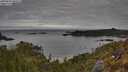 ./images/calvert/foggy-cove/20250501/foggy-cove20250501_085509M.jpg