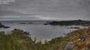./images/calvert/foggy-cove/20250501/foggy-cove20250501_091009M.jpg