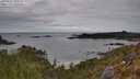 ./images/calvert/foggy-cove/20250501/foggy-cove20250501_095508M.jpg