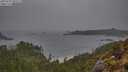 ./images/calvert/foggy-cove/20250502/foggy-cove20250502_095509M.jpg