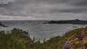 ./images/calvert/foggy-cove/20250502/foggy-cove20250502_155509M.jpg