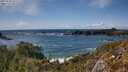 ./images/calvert/foggy-cove/20250503/foggy-cove20250503_155508M.jpg