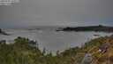 ./images/calvert/foggy-cove/20250504/foggy-cove20250504_195009M.jpg