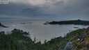./images/calvert/foggy-cove/20250504/foggy-cove20250504_212009M.jpg