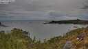 ./images/calvert/foggy-cove/20250505/foggy-cove20250505_080509M.jpg