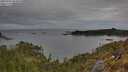 ./images/calvert/foggy-cove/20250505/foggy-cove20250505_084010M.jpg