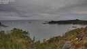 ./images/calvert/foggy-cove/20250505/foggy-cove20250505_084509M.jpg