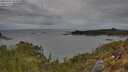 ./images/calvert/foggy-cove/20250505/foggy-cove20250505_085010M.jpg