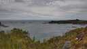 ./images/calvert/foggy-cove/20250505/foggy-cove20250505_095507M.jpg