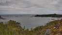 ./images/calvert/foggy-cove/20250505/foggy-cove20250505_101507M.jpg