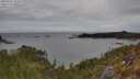 ./images/calvert/foggy-cove/20250505/foggy-cove20250505_103508M.jpg