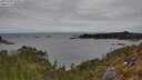 ./images/calvert/foggy-cove/20250505/foggy-cove20250505_104008M.jpg