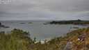 ./images/calvert/foggy-cove/20250505/foggy-cove20250505_124509M.jpg