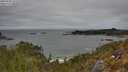 ./images/calvert/foggy-cove/20250505/foggy-cove20250505_125509M.jpg