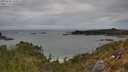 ./images/calvert/foggy-cove/20250505/foggy-cove20250505_132009M.jpg
