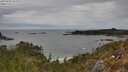 ./images/calvert/foggy-cove/20250505/foggy-cove20250505_141010M.jpg