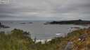 ./images/calvert/foggy-cove/20250505/foggy-cove20250505_143011M.jpg