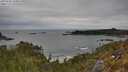 ./images/calvert/foggy-cove/20250505/foggy-cove20250505_144009M.jpg