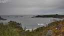 ./images/calvert/foggy-cove/20250505/foggy-cove20250505_151010M.jpg