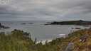 ./images/calvert/foggy-cove/20250505/foggy-cove20250505_155010M.jpg