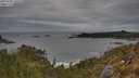 ./images/calvert/foggy-cove/20250505/foggy-cove20250505_160508M.jpg