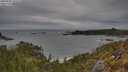 ./images/calvert/foggy-cove/20250505/foggy-cove20250505_162508M.jpg