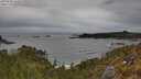 ./images/calvert/foggy-cove/20250505/foggy-cove20250505_164510M.jpg