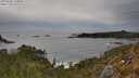 ./images/calvert/foggy-cove/20250505/foggy-cove20250505_170010M.jpg