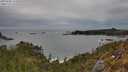 ./images/calvert/foggy-cove/20250505/foggy-cove20250505_171010M.jpg