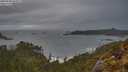 ./images/calvert/foggy-cove/20250508/foggy-cove20250508_065009M.jpg