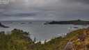 ./images/calvert/foggy-cove/20250508/foggy-cove20250508_065509M.jpg