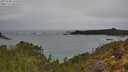 ./images/calvert/foggy-cove/20250508/foggy-cove20250508_121010M.jpg