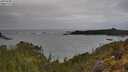 ./images/calvert/foggy-cove/20250508/foggy-cove20250508_122509M.jpg