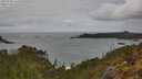 ./images/calvert/foggy-cove/20250508/foggy-cove20250508_141509M.jpg