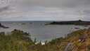 ./images/calvert/foggy-cove/20250508/foggy-cove20250508_144509M.jpg