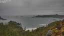 ./images/calvert/foggy-cove/20250508/foggy-cove20250508_173011M.jpg