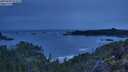 ./images/calvert/foggy-cove/20250509/foggy-cove20250509_053008M.jpg