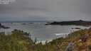 ./images/calvert/foggy-cove/20250509/foggy-cove20250509_061010M.jpg