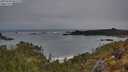 ./images/calvert/foggy-cove/20250509/foggy-cove20250509_061509M.jpg
