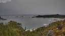 ./images/calvert/foggy-cove/20250509/foggy-cove20250509_082507M.jpg