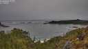 ./images/calvert/foggy-cove/20250509/foggy-cove20250509_083010M.jpg