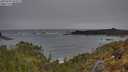 ./images/calvert/foggy-cove/20250509/foggy-cove20250509_091009M.jpg