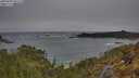 ./images/calvert/foggy-cove/20250509/foggy-cove20250509_091510M.jpg