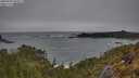 ./images/calvert/foggy-cove/20250509/foggy-cove20250509_092507M.jpg