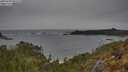 ./images/calvert/foggy-cove/20250509/foggy-cove20250509_095010M.jpg
