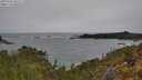 ./images/calvert/foggy-cove/20250509/foggy-cove20250509_101510M.jpg