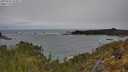 ./images/calvert/foggy-cove/20250509/foggy-cove20250509_103010M.jpg