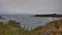 ./images/calvert/foggy-cove/20250509/foggy-cove20250509_103509M.jpg