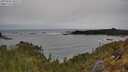 ./images/calvert/foggy-cove/20250509/foggy-cove20250509_105508M.jpg